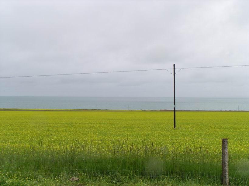 雨中的青海湖远景_A.jpg