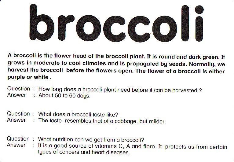 broccoli反面.jpg