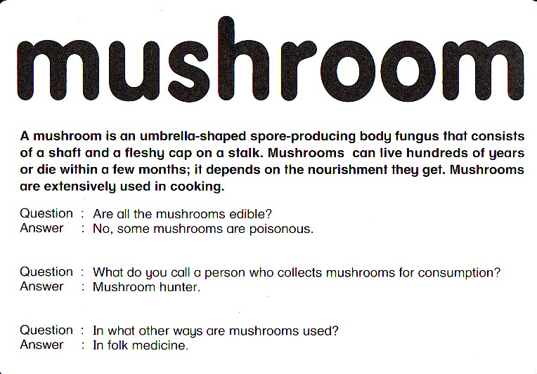 mushroom反面.jpg