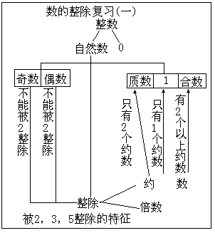 数从整除.gif