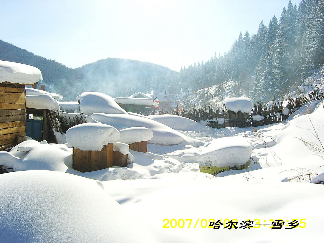 雪乡一景.jpg