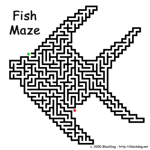 fish-maze.gif