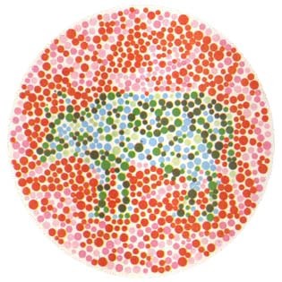 正常看应是一幅“牛”的图案，如看到的是一头“鹿”，就有可能是色盲或色弱.jpg
