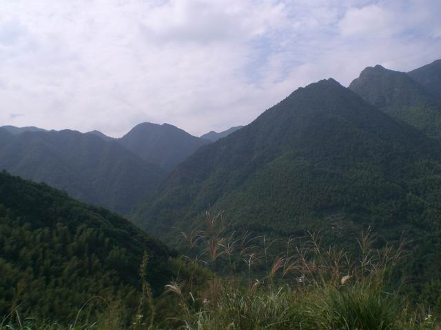 山上风景1.JPG