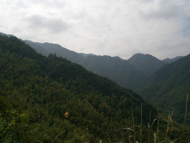 山上风景2.JPG