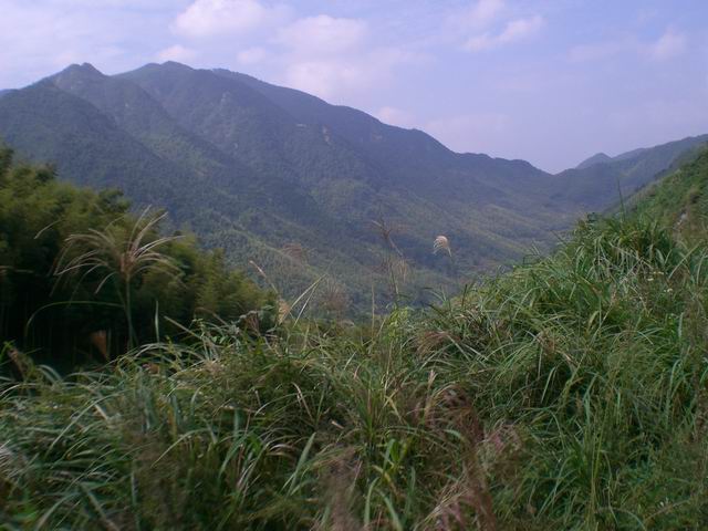 山上风景4.JPG