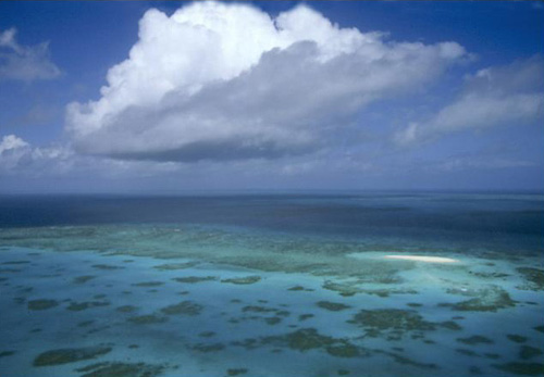 世界上最大的珊瑚礁--大堡礁.jpg