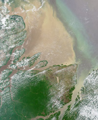 亚马逊河入海口.jpg