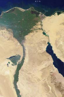 尼罗河最下游分成许多汊河流注入地中海.jpg