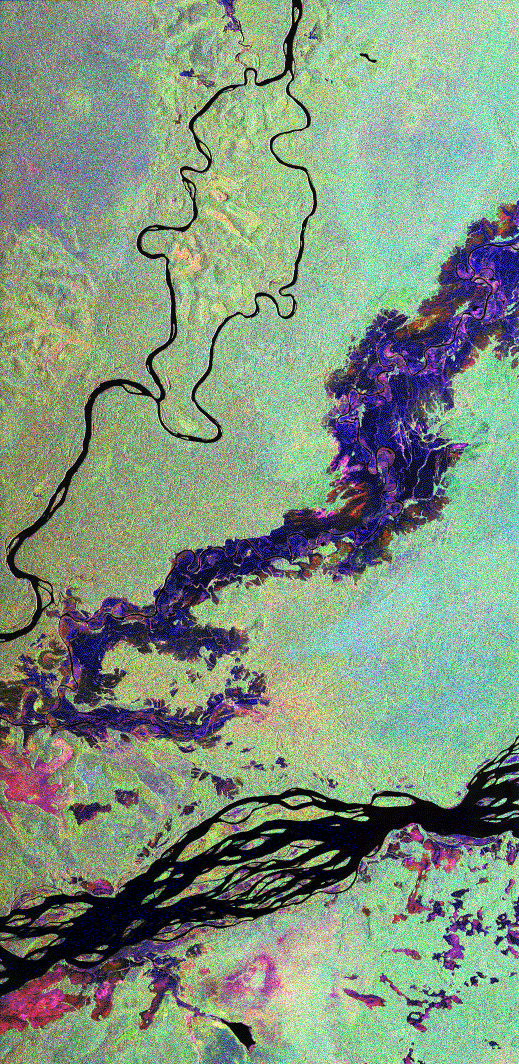 刚果盆地中部一片沼泽区域的卫星图片.gif