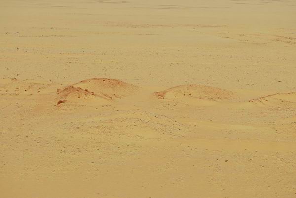 埃及沙漠1.jpg