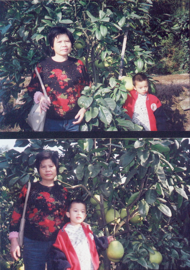 和外婆一起摘柚子e2007.011.jpg