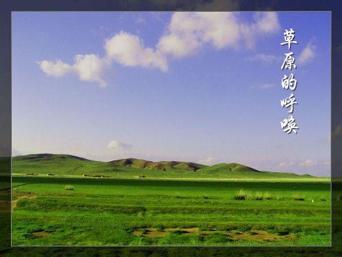内蒙古草原.jpg