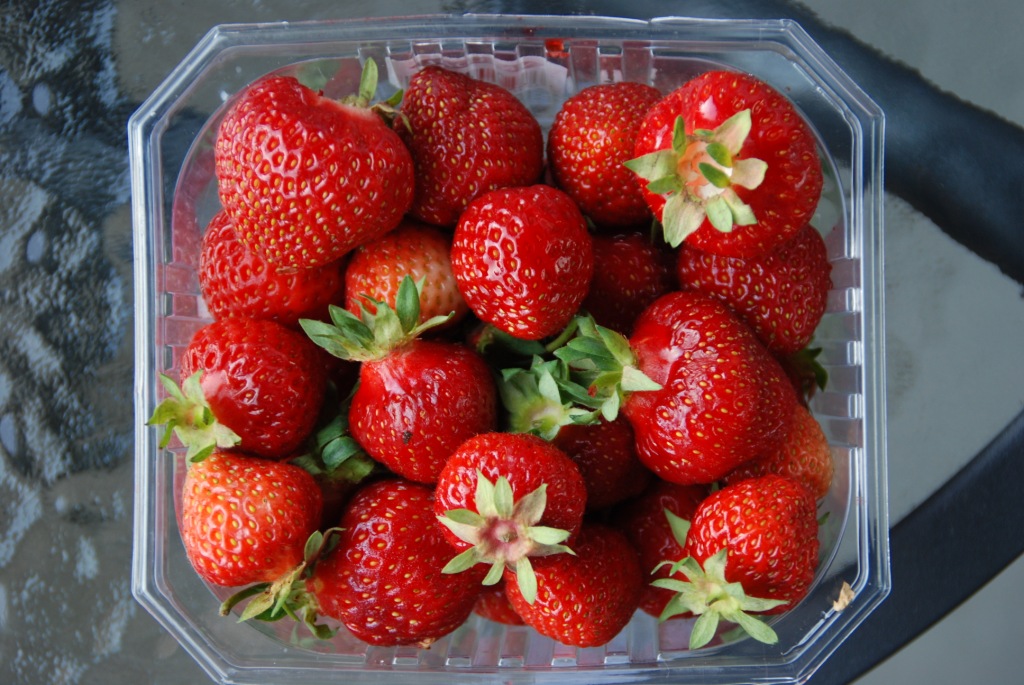 我最爱的草莓.JPG