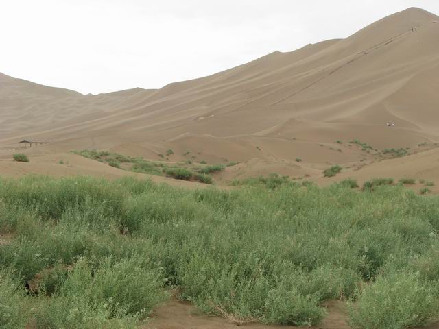 入口处的沙丘.JPG
