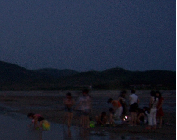 基湖沙滩晚上抓螃蟹.JPG