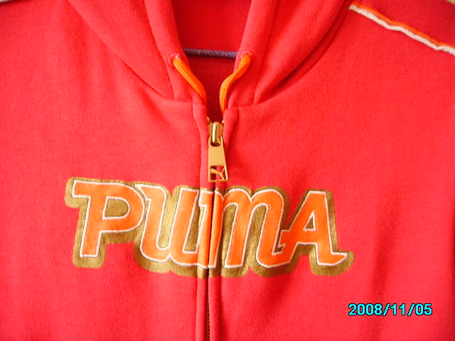 PUMA2.jpg