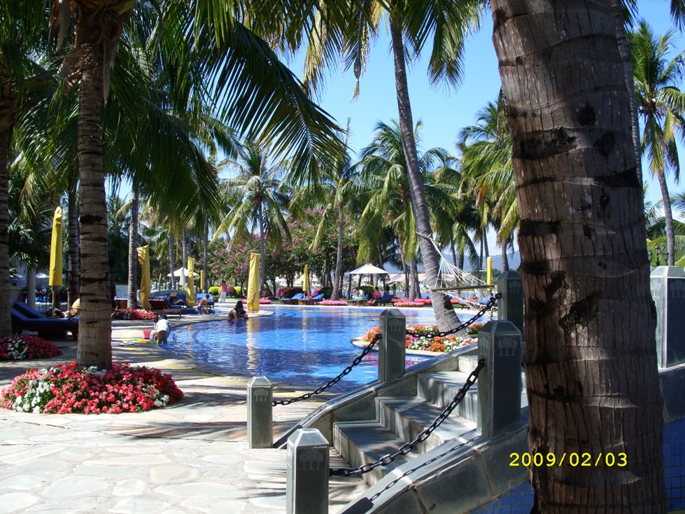 金棕榈泳池2.JPG