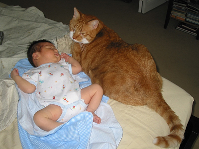 William & cat.jpg