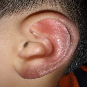 耳朵5.JPG