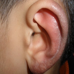 耳朵3.JPG