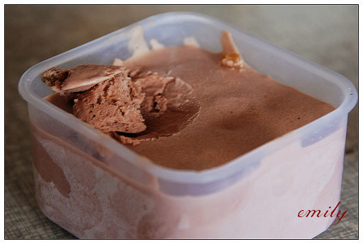 巧克力冰淇淋.JPG