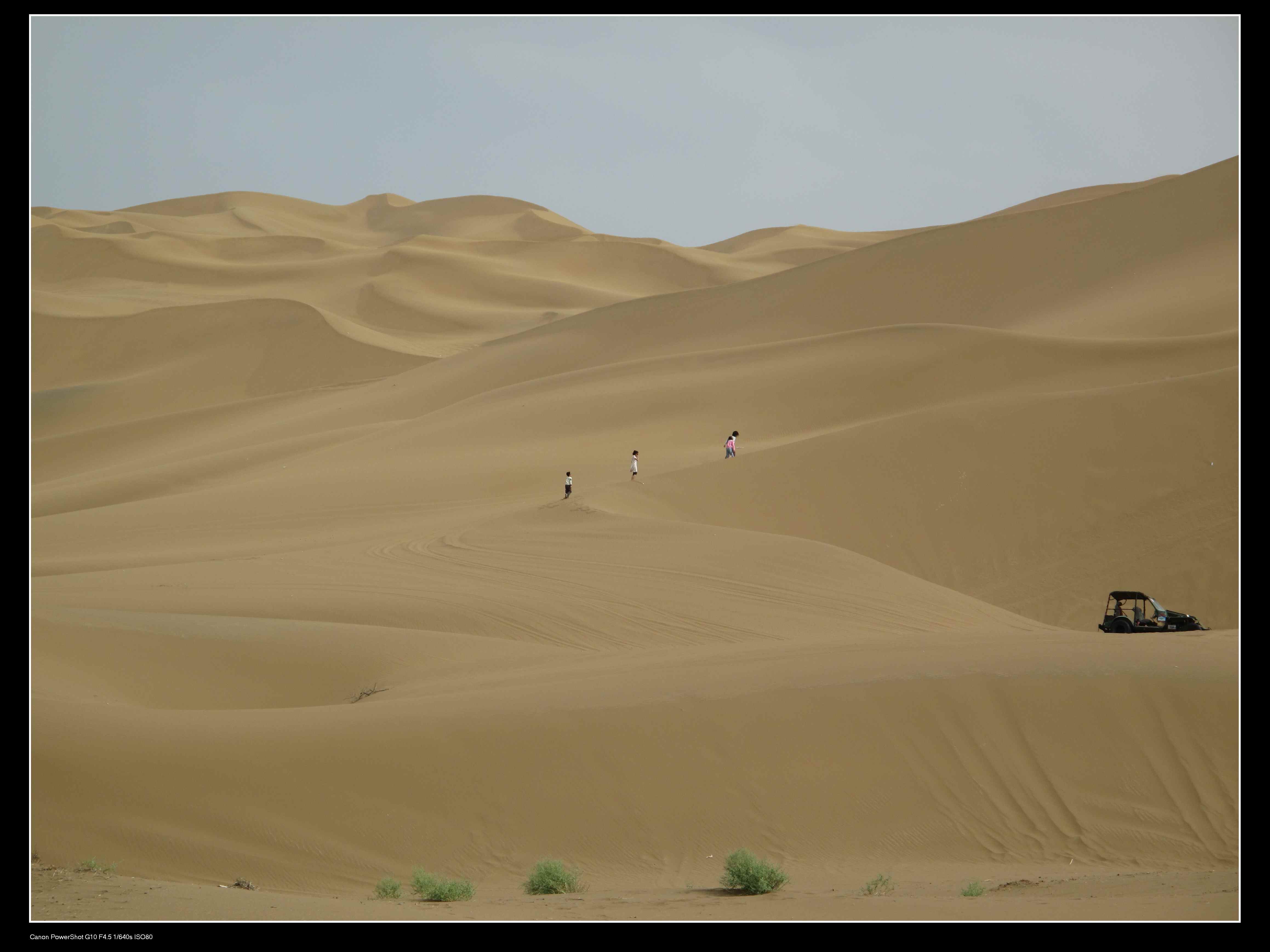 沙漠公园滑沙.jpg