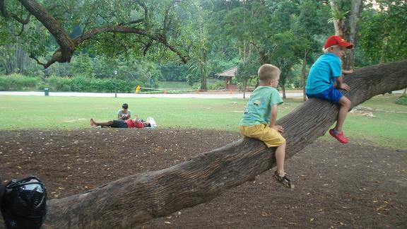 小朋友排对对一起来爬树.JPG