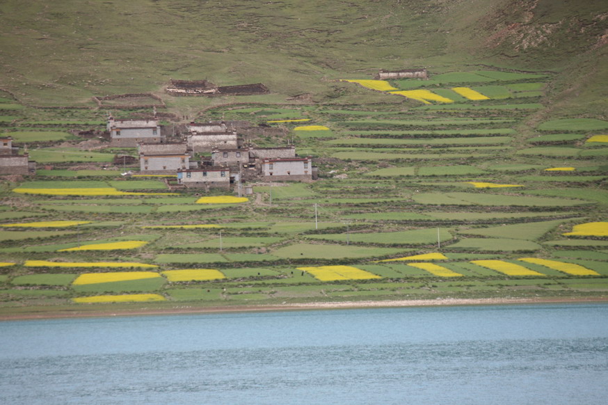 羊湖旁边的村庄.jpg