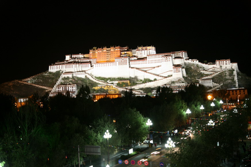 新华宾馆观景台拍的布达拉宫夜景.jpg