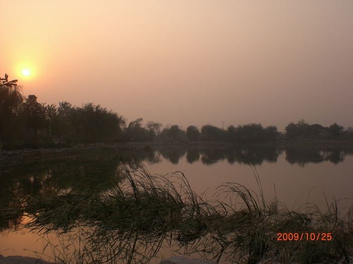 圆明园夕阳二.JPG