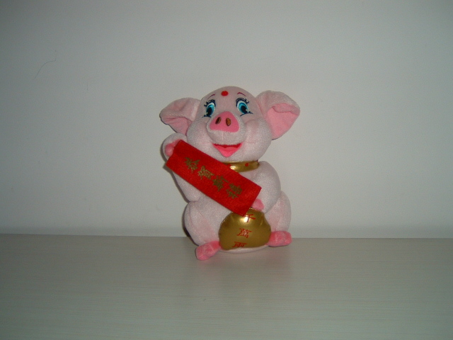 猪5.JPG