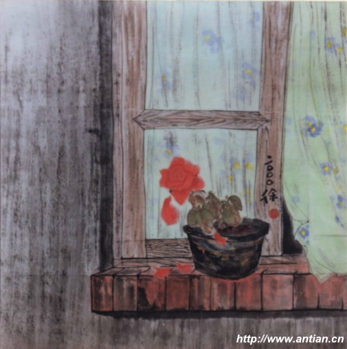 安田的窗台上的花.jpg