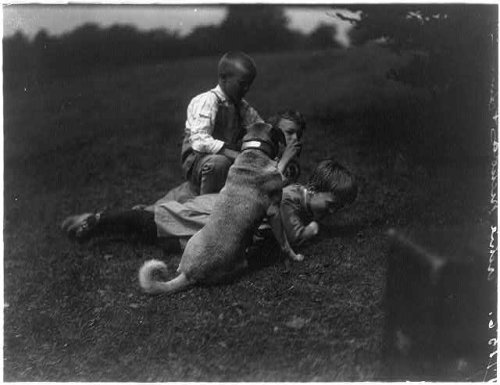 西奥多·罗斯福在孩子们与狗狗玩耍.jpg