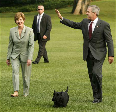 美国前总统布什和他的宠物狗巴迪.jpg