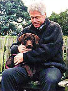 前总统比尔比尔·克林顿和宠物犬“巴迪”.jpg