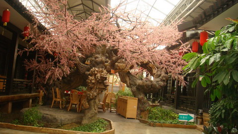 生态饭店里的樱花树.jpg