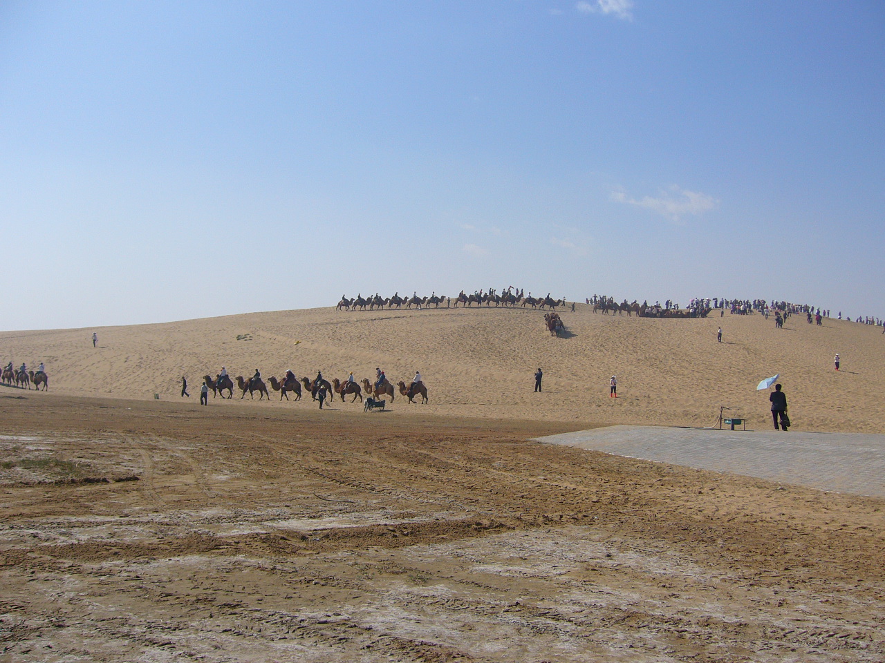 沙湖的骆驼队.JPG