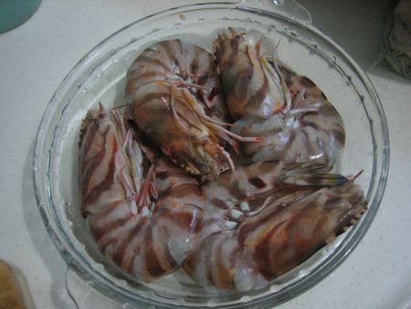 海虾.jpg