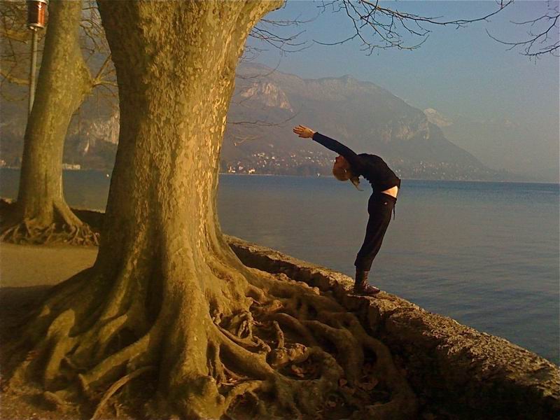 tree-of-yoga.jpg