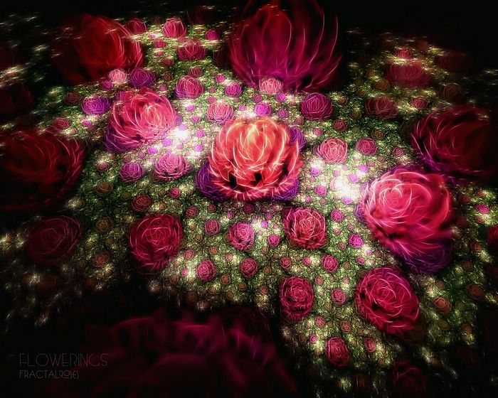 Fractal_Art_Flowe_Roses.jpg