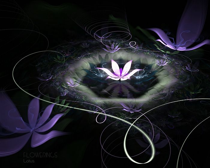 Fractal_Art_Flower_Lotus.jpg