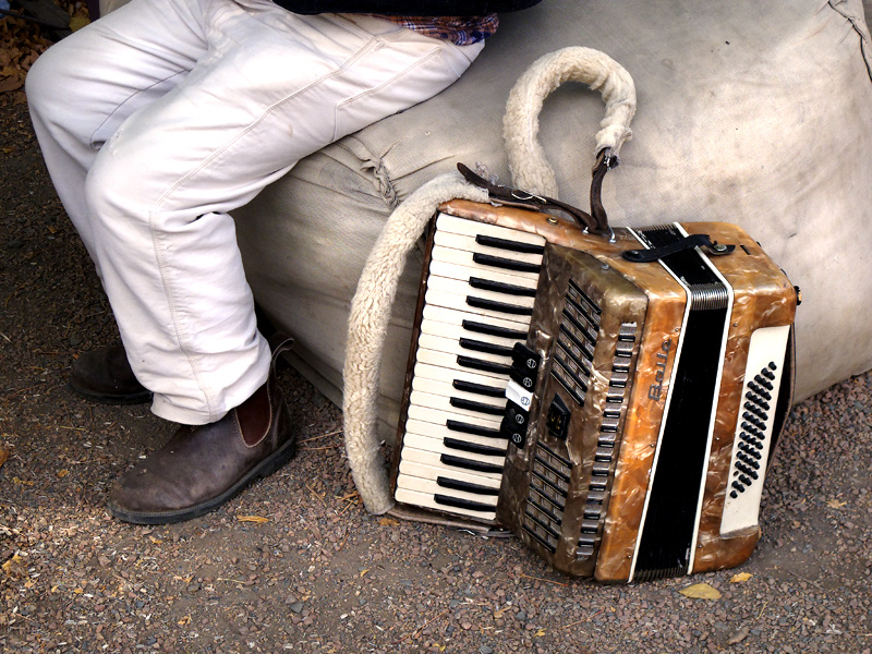 124101878.bVEeYyKO.Accordian.jpg