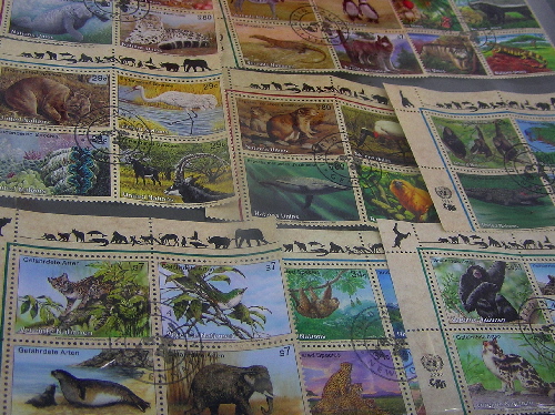 联合国环保邮票动物.jpg