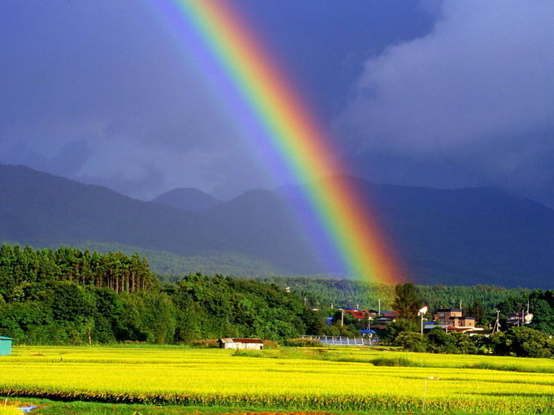 雨后彩虹1.jpg