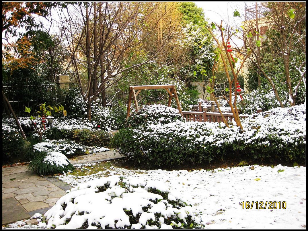 20101216雪景.jpg
