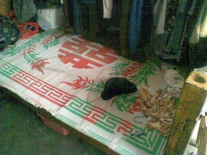 nEO_IMG_林志明和祖母睡的床.jpg