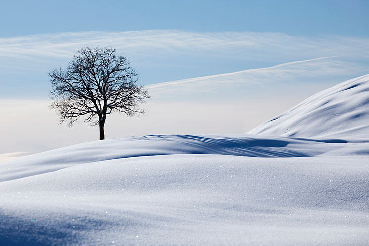 view_kw51_winterlandschaft_06.jpg