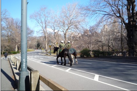 中央公园的胖阿姨巡警和胖红马.jpg