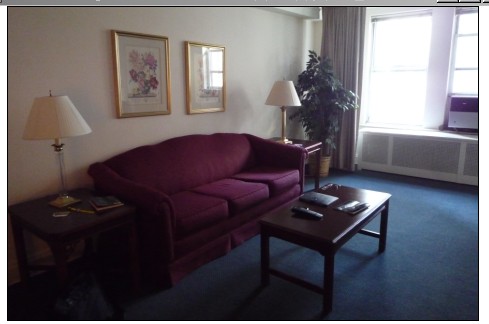 曼哈顿130美元的宾馆房间带这么大的客厅，给力吧？.jpg
